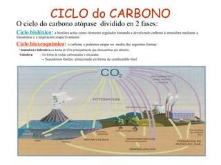 CICLO do CARBONO
• O ciclo do carbono atópase dividido en 2 fases:
• Ciclo biolóxico: a biosfera actúa como elemento regulador tomando e devolvendo carbono á atmosfera mediante a
fotosíntese e a respiración respectivamente
• Ciclo bioxeoquímico: o carbono o podemos atopar no medio das seguintes formas:
•Atmosfera e hidrosfera en forma de CO2 principalmente que intercambian por difusión.
•Litosfera: - En forma de rochas carbonatadas e silicatadas
–- Sumidoiros fósiles: almacenado en forma de combustible fósil
 