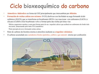 Ciclo bioxeoquímico do carbono
• Atmosfera e hidrosfera en forma de CO2 principalmente que intercambian por difusión.
• Formación de rochas calizas nos océanos: O CO2 disólvese con facilidade na auga formando ácido
carbónico (H2CO3) que se transforma en bicarbonato (HCO3-) ao reaccionar con carbonatos (CaCO3) e
silicatos (CaSiO3) Este bicarbonato volve a formar parte das rochas por dous vías:
•Moitos organismos mariños o usan para formar parte do seu esqueleto cálcico que acabará nos sedimentos do fondo trala
súa morte, almacenando polo tanto CO2 (sumidoiro)
•Parte precipita de novo formando rochas calizas
• Parte do carbono da litosfera retorna á atmosfera mediante as erupcións volcánicas
• O carbono acumulado nos sumidoiros fósiles (petróleo, carbón e gas natural) retorno por combustión
 