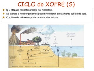 CICLO do XOFRE (S)
O S atópase maioritariamente na hidrosfera.
As plantas e microorganismos poden incorporar directamente sulfato do solo.
O sulfuro de hidroxeno pode xerar chuvias ácidas.
 