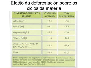 Efecto da deforestación sobre os
ciclos da materia
 