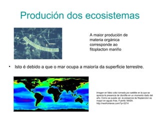 Produción dos ecosistemas
A maior produción de
materia orgánica
corresponde ao
fitoplacton mariño
• Isto é debido a que o mar ocupa a maioría da superficie terrestre.
Imagen en falso color tomada por satélite en la que se
aprecia la presencia de clorofila en un momento dado del
año. Como se puede ver, la presencia de fitoplancton es
mayor en aguas frías. Fuente: NASA.
http://neofronteras.com/?p=3214
 