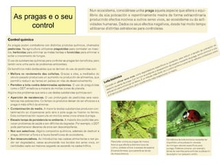 As pragas e o seu
control
 