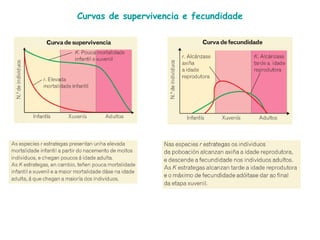 Curvas de supervivencia e fecundidade
 