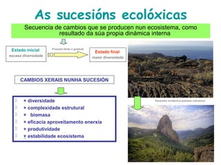 As sucesións ecolóxicas
Secuencia de cambios que se producen nun ecosistema, como
resultado da súa propia dinámica interna
Proceso lento e gradual
CAMBIOS XERAIS NUNHA SUCESIÓN
Estado inicial
escasa diversidade
Estado final
maior diversidade
 + diversidade
 + complexidade estrutural
 + biomasa
 + eficacia aproveitamento enerxía
 + produtividade
 + estabilidade ecosistema
Sucesión ecolóxica paisaxe volcánica
 