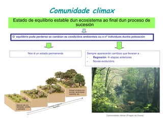 Comunidade climax
Estado de equilibrio estable dun ecosistema ao final dun proceso de
sucesión
O equilibrio pode perderse se cambian as condicións ambientais ou o nº individuos dunha poboación
Non é un estado permanente Sempre aparecerán cambios que levaran a :
- Regresión  etapas anteriores
- Novas evolucións
Comunidade climax (Fragas do Eume)
 