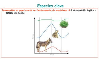 Especies clave
Desempeñan un papel crucial no funcionamento do ecosistema A desaparición implica o
colapso do mesmo
 