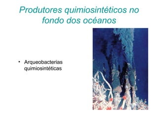 Produtores quimiosintéticos no
fondo dos océanos
• Arqueobacterias
quimiosintéticas
 