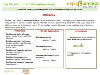 http://www.conectabioenergia.org/ 
Organiza 
Realizar, para cada TERMINO MUNICIPAL de la provincia de Sevilla, un diagnost...
