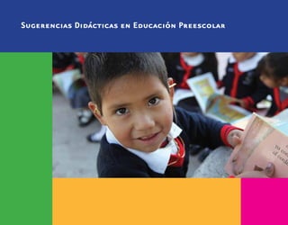 Sugerencias Didácticas en Educación Preescolar
 