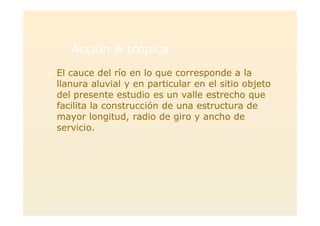 Acción A trópicaAcción A trópica
> El cauce del río en lo que corresponde a la
llanura aluvial y en particular en el sitio objeto
del presente estudio es un valle estrecho que
facilita la construcción de una estructura de
mayor longitud, radio de giro y ancho de
servicio.
 