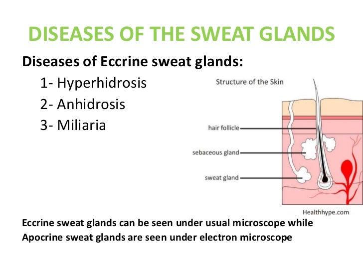 dermatology. disorders of sebaceous and sweat glands.(dr.faraydwn)