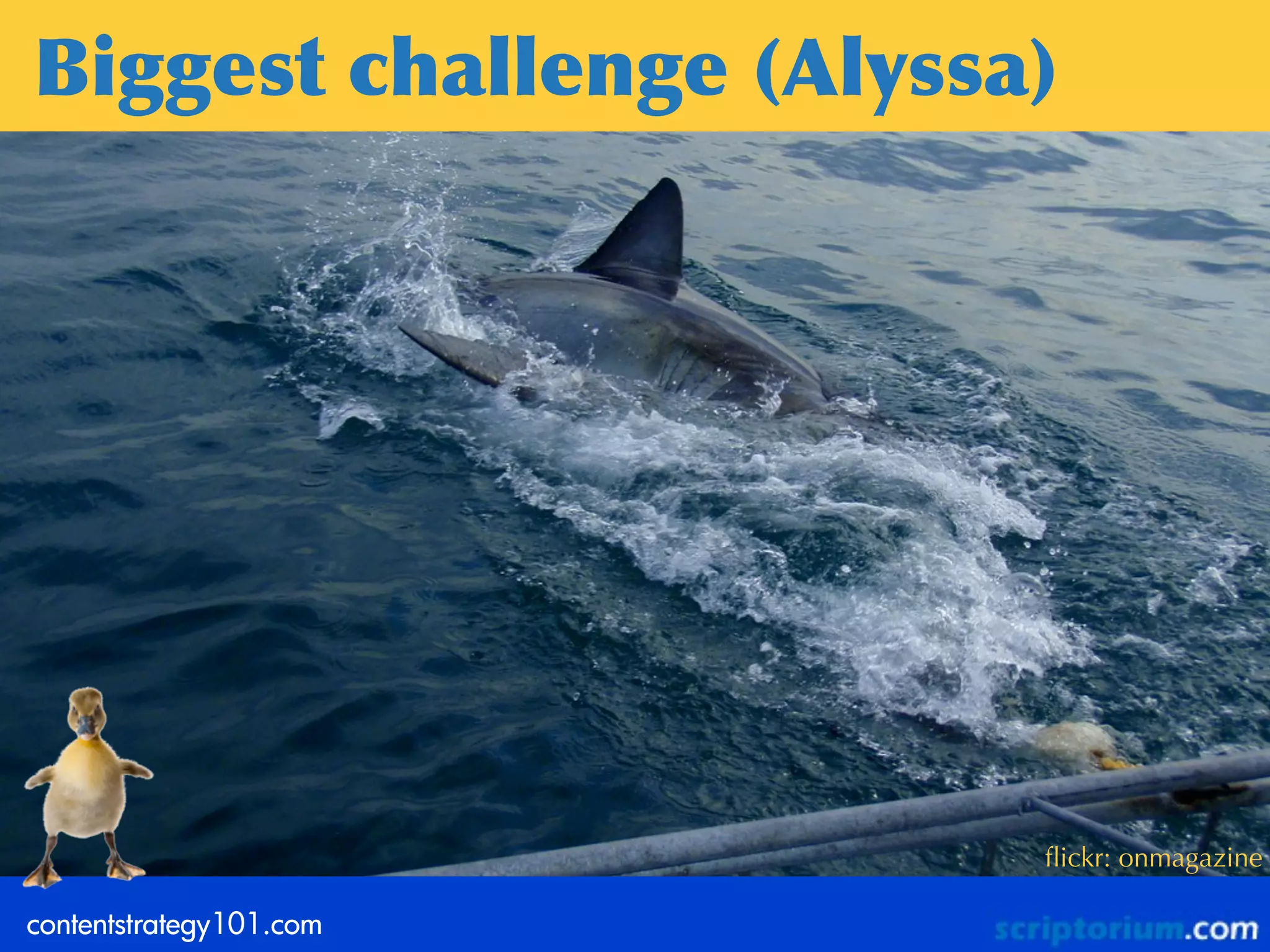 Biggest	
 challenge	
 (Alyssa)




                             ﬂickr: onmagazine

contentstrategy101.com
 