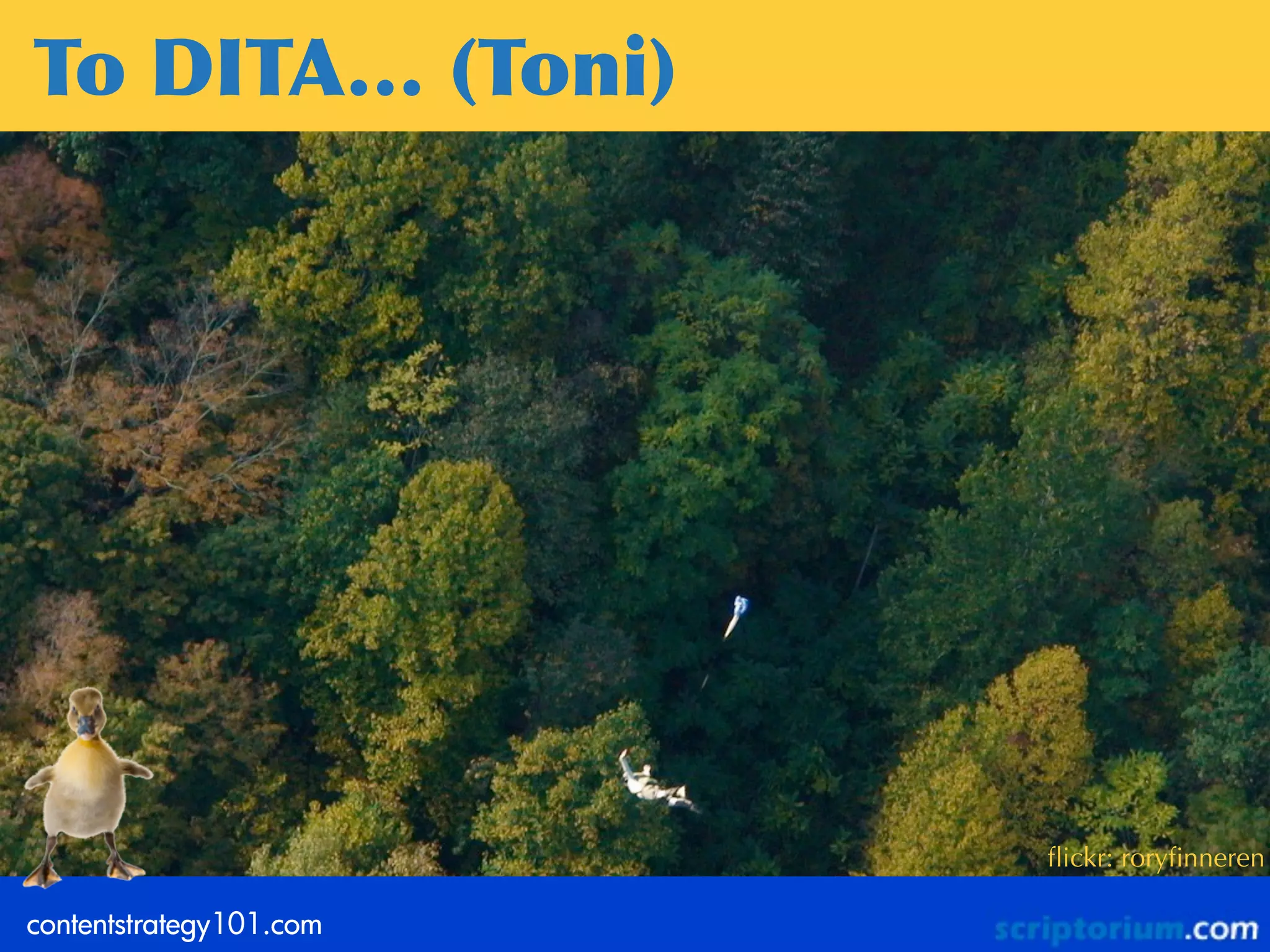 To	
 DITA…	
 (Toni)




                         ﬂickr: roryﬁnneren

contentstrategy101.com
 