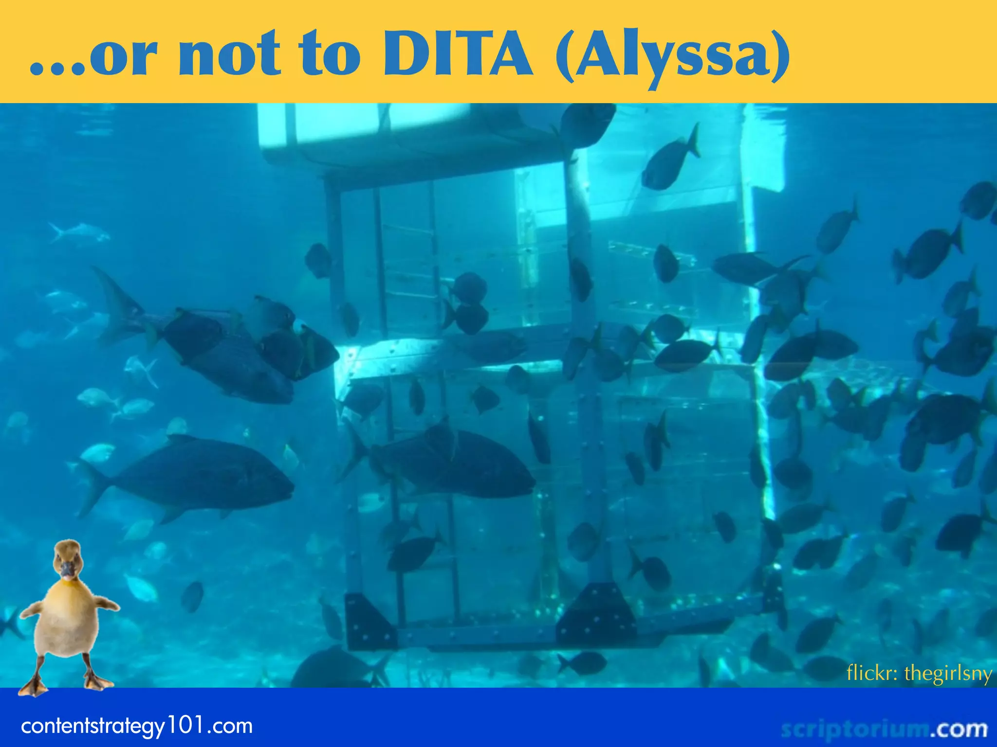 …or	
 not	
 to	
 DITA	
 (Alyssa)




                                   ﬂickr: thegirlsny

contentstrategy101.com
 