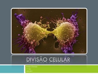 DIVISÃO CELULAR
Biologia e Geologia
11º Ano
2010-2011
 