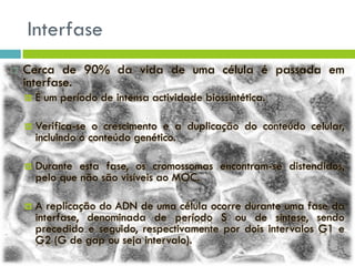 Interfase
 Cerca de 90% da vida de uma célula é passada em
interfase.
 É um período de intensa actividade biossintética.
 Verifica-se o crescimento e a duplicação do conteúdo celular,
incluindo o conteúdo genético.
 Durante esta fase, os cromossomas encontram-se distendidos,
pelo que não são visíveis ao MOC.
 A replicação do ADN de uma célula ocorre durante uma fase da
interfase, denominada de período S ou de síntese, sendo
precedido e seguido, respectivamente por dois intervalos G1 e
G2 (G de gap ou seja intervalo).
 