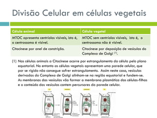 Divisão Celular em células vegetais
Célula animal Célula vegetal
MTOC apresenta centríolos visíveis, isto é,
o centrossoma é visível.
MTOC sem centríolos visíveis, isto é, o
centrossoma não é visível.
Citocinese por anel de constrição. Citocinese por deposição de vesículas do
Complexo de Golgi (1).
(1) Nas células animais a Citocinese ocorre por estrangulamento da célula pelo plano
equatorial. No entanto as células vegetais apresentam uma parede celular, que
por se rígida não consegue sofrer estrangulamento. Assim neste caso, vesículas
derivadas do Complexo de Golgi alinham-se na região equatorial e fundem-se.
As membranas das vesículas vão formar a membrana plasmática das células-filhas
e o conteúdo das vesículas contem percursores da parede celular.
 