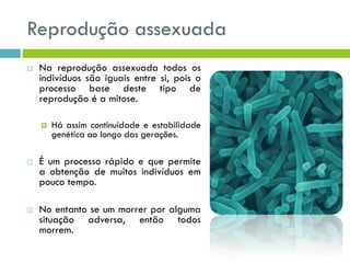 Reprodução assexuada
 Na reprodução assexuada todos os
indivíduos são iguais entre si, pois o
processo base deste tipo de
reprodução é a mitose.
 Há assim continuidade e estabilidade
genética ao longo das gerações.
 É um processo rápido e que permite
a obtenção de muitos indivíduos em
pouco tempo.
 No entanto se um morrer por alguma
situação adversa, então todos
morrem.
 