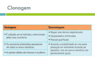 Clonagem
 