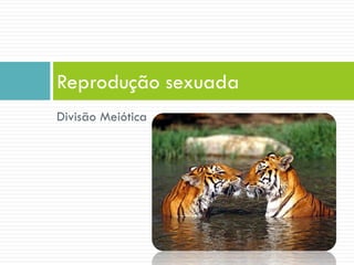 Divisão Meiótica
Reprodução sexuada
 