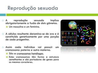Reprodução sexuada
 A reprodução sexuada implica
obrigatoriamente a fusão de dois gâmetas.
 Um masculino e um feminino.
 A células resultante denomina-se de ovo e é
constituido geneticamente por uma porção
de cada progenitor.
 Assim cada indivíduo vai possuir um
cromossoma paterno e outro materno.
 São os cromossomas homólogos.
 Estes cromossomas têm forma e estrutura
semelhantes e são portadores de genes para
os mesmos caracteres.
 