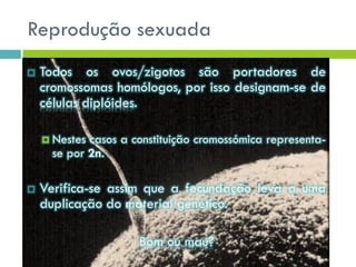 Reprodução sexuada
 Todos os ovos/zigotos são portadores de
cromossomas homólogos, por isso designam-se de
células diplóides.
 Nestes casos a constituição cromossómica representa-
se por 2n.
 Verifica-se assim que a fecundação leva a uma
duplicação do material genético.
Bom ou mau?
 