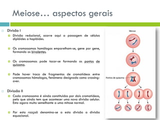 Meiose… aspectos gerais
 Divisão I
 Divisão reducional, ocorre aqui a passagem de células
diplóides a haplóides.
 Os cromossomas homólogos emparelham-se, gene por gene,
formando os bivalentes.
 Os cromossomas pode tocar-se formando os pontos de
quiasma.
 Pode haver troca de fragmentos de cromatídeos entre
cromossomas hómologos, fenómeno designado como crossing-
over.
 Divissão II
 Cada cromossoma é ainda constituidos por dois cromatídeos,
pelo que ainda tem que acontecer uma nova divisão celular.
Esta agora muito semelhante a uma mitose normal.
 Por esta razçaõ denomina-se a esta divisão a divisão
equacional.
 