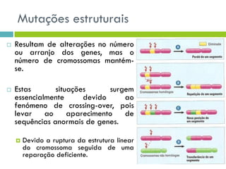 Mutações estruturais
 Resultam de alterações no número
ou arranjo dos genes, mas o
número de cromossomas mantém-
se.
 Estas situações surgem
essencialmente devido ao
fenómeno de crossing-over, pois
levar ao aparecimento de
sequências anormais de genes.
 Devido a ruptura da estrutura linear
do cromossoma seguida de uma
reparação deficiente.
 