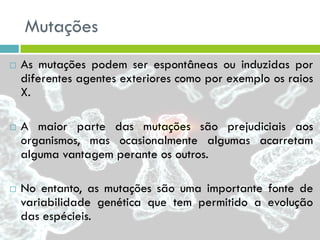 Mutações
 As mutações podem ser espontâneas ou induzidas por
diferentes agentes exteriores como por exemplo os raios
X.
 A maior parte das mutações são prejudiciais aos
organismos, mas ocasionalmente algumas acarretam
alguma vantagem perante os outros.
 No entanto, as mutações são uma importante fonte de
variabilidade genética que tem permitido a evolução
das espécieis.
 