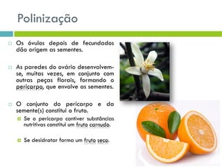 Polinização
 Os óvulos depois de fecundados
dão origem as sementes.
 As paredes do ovário desenvolvem-
se, muitas vezes, em conjunto com
outras peças florais, formando o
pericarpo, que envolve as sementes.
 O conjunto do pericarpo e da
semente(s) constitui o fruto.
 Se o pericarpo contiver substâncias
nutritivas constitui um fruto carnudo.
 Se desidratar forma um fruto seco.
 