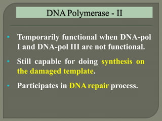 2 dna replication pro & euk. | PPTX