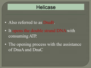 2 dna replication pro & euk. | PPTX