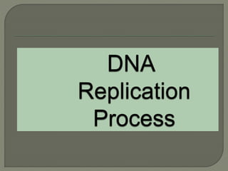 2 dna replication pro & euk. | PPTX