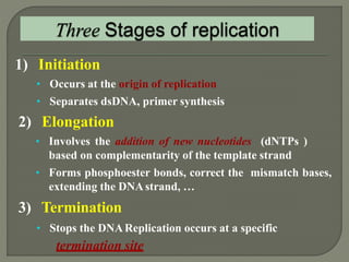 2 dna replication pro & euk. | PPTX