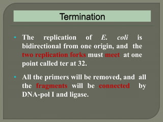 2 dna replication pro & euk. | PPTX