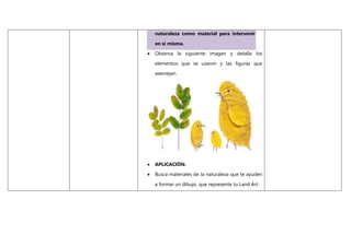naturaleza como material para intervenir
en sí misma.
 Observa la siguiente imagen y detalla los
elementos que se usaron y las figuras que
asemejan.
 APLICACIÓN.
 Busca materiales de la naturaleza que te ayuden
a formar un dibujo, que represente tu Land Art.
 