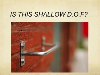 IS THIS SHALLOW D.O.F?