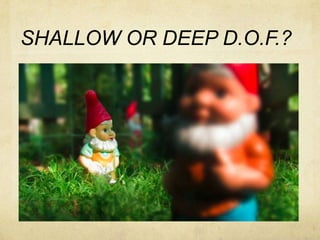SHALLOW OR DEEP D.O.F.?