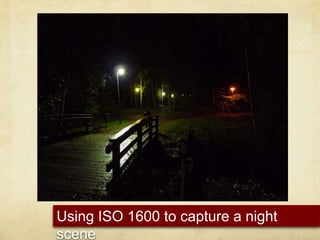 Using ISO 1600 to capture a night scene