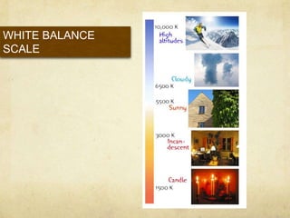 WHITE BALANCE SCALE