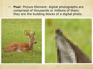 Pixelﾐ Picture Element: digital photographs are comprised of thousands or millions of them; they are the building blocks of a digital photo.