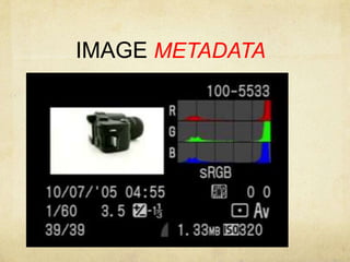 IMAGE METADATA