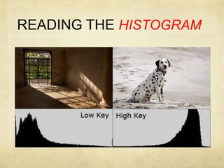 READING THE HISTOGRAM