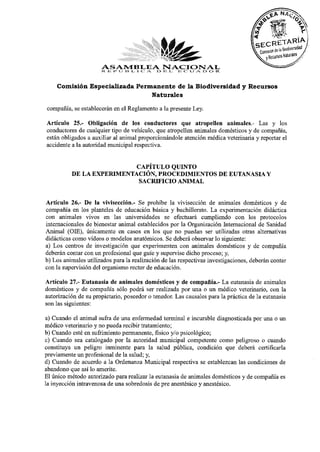 ASAMBLEA K> 13 I . E O tJ A. a O l<
                      1< l i 1» O II t < A NACI10N AL
    Comisión Especializada Permanente de la Biodiversidad y Recursos
                               Naturales

compañía, se establecerán en el Reglamento a la presente Ley.
Artículo 25.- Obligación de los conductores que atropellen animales.- Las y los
conductores de cualquier tipo de vehículo, que atropellen animales domésticos y de compañía,
están obligados a auxiliar al animal proporcionándole atención médica veterinaria y reportar el
accidente a la autoridad municipal respectiva.

                           CAPÍTULO QUINTO
          DE LA EXPERIMENTACIÓN, PROCEDIMIENTOS DE EUTANASIA Y
                           SACRIFICIO ANIMAL

Artículo 26.- De la vivisección.- Se prohibe la vivisección de animales domésticos y de
compañía en los planteles de educación básica y bachillerato. La experimentación didáctica
con animales vivos en las universidades se efectuará cumpliendo con los protocolos
internacionales de bienestar animal establecidos por la Organización Internacional de Sanidad
Animal (OIE), únicamente en casos en los que no puedan ser utilizadas otras alternativas
didácticas como vídeos o modelos anatómicos. Se deberá observar lo siguiente:
a) Los centros de investigación que experimenten con animales domésticos y de compañía
deberán contar con un profesional que guíe y supervise dicho proceso; y,
b) Los animales utilizados para la realización de las respectivas investigaciones, deberán contar
con la supervisión del organismo rector de educación.
Artículo 27.- Eutanasia de animales domésticos y de compañía.- La eutanasia de animales
domésticos y de compañía sólo podrá ser realizada por una o un médico veterinario, con la
autorización de su propietario, poseedor o tenedor. Las causales para la práctica de la eutanasia
son las siguientes:
a) Cuando el animal sufra de una enfermedad terminal e incurable diagnosticada por una o un
médico veterinario y no pueda recibir tratamiento;
b) Cuando esté en sufrimiento permanente, físico y/o psicológico;
c) Cuando sea catalogado por la autoridad municipal competente como peligroso o cuando
constituya un peligro inminente para la salud pública, condición que deberá certificarla
previamente un profesional de la salud; y,
d) Cuando de acuerdo a la Ordenanza Municipal respectiva se establezcan las condiciones de
abandono que así lo amerite.
El único método autorizado para realizar la eutanasia de animales domésticos y de compañía es
la inyección intravenosa de una sobredosis de pre anestésico y anestésico.
 