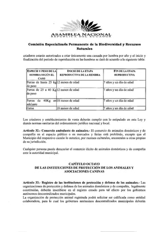 ASAMBLEAD ENACIONAL
                     R E I» O B L I C A L, E C U A D O R


    Comisión Especializada Permanente de la Biodiversidad y Recursos
                               Naturales

criaderos estarán autorizados a criar únicamente una carnada por hembra por año y el inicio y
finalización del periodo de reproducción en las hembras se dará de acuerdo a la siguiente tabla:

   ESPECIE Y PESO DE LA INICIO DE LA ETAPA                             FIN DE LA ETAPA
    HEMBRA SEGÚN EL REPRODUCTIVA DE LA HEMBRA                          REPRODUCTIVA
          CASO
   Perras de hasta 25 kg 12 meses de edad                      7 años y un día de edad
   de peso
   Perras de 25 a 40 Kg 12 meses de edad                       7 años y un día de edad
   de peso
   Perras de 40Kg en 18 meses de edad                          7 años y un día de edad
   adelante
   Gatas                 18 meses de edad                      7 años y un día de edad

Los criaderos y establecimientos de venta deberán cumplir con lo estipulado en esta Ley y
demás normas sanitarias del ordenamiento jurídico nacional y local.
Artículo 32.- Comercio ambulante de animales.- El comercio de animales domésticos y de
compañía en el espacio público o en mercados y ferias está prohibido, excepto que el
Municipio del respectivo cantón lo autorice, por razones culturales, ancestrales u otras propias
de su jurisdicción.
Cualquier persona puede denunciar el comercio ilícito de animales domésticos y de compañía
ante la autoridad municipal.

                           CAPÍTULO OCTAVO
         DE LAS INSTITUCIONES DE PROTECCIÓN DE LOS ANIMALES Y
                         ASOCIACIONES CANINAS

Artículo 33.- Registro de las instituciones de protección y defensa de los animales.- Las
organizaciones de protección y defensa de los animales domésticos y de compañía, legalmente
constituidas, deberán inscribirse en el registro creado para tal efecto por los gobiernos
autónomos descentralizados municipales.
La organización de protección animal registrada podrá solicitar ser calificada como entidad
colaboradora, para lo cual los gobiernos autónomos descentralizados municipales deberán
 