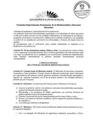 ASAMBLEA oNACIONAL
                      R. JE r» "O ES i- i cr /v i JL E C: I J A. n> o
    Comisión Especializada Permanente de la Biodiversidad y Recursos
                               Naturales

considerar la experiencia y especialización de la organización.
Los gobiernos autónomos descentralizados municipales y las autoridades de salud, agricultura
y educación podrán convenir con las entidades colaboradoras, la realización de actividades y
programas encaminados a la protección y defensa de los animales domésticos y de compañía,
el control de su reproducción, prevención de enfermedades y fomento del respeto hacia los
mismos.
El procedimiento para la calificación como entidad colaboradora se estipulará en el
Reglamento a la presente Ley.
Artículo 34.- De las asociaciones caninas, felinas y otras.- Las asociaciones caninas, felinas
y otras, legalmente constituidas deberán llevar los libros genealógicos de razas puras que estén
a su cargo. La información de los ejemplares con los protocolos y pruebas de comportamiento
serán remitidas semestralmente al gobierno autónomo descentralizado municipal
correspondiente.
                             CAPÍTULO NOVENO
                  DEL CONSEJO ASESOR DE BIENESTAR ANIMAL

Artículo 35.- Consejo Asesor de Bienestar Animal.- El Ministerio de Agricultura, Ganadería,
Acuacultura y Pesca presidirá el Consejo Asesor de Bienestar Animal que estará conformado
por representantes del gobierno central, gobiernos autónomos descentralizados municipales y
expertos en medicina veterinaria, con elfinde prestar asesoría a las entidades públicas y
privadas que así lo requiera.
Artículo 36.- Funciones.- Las funciones del Consejo Asesor de Bienestar Animal son:
   a) Asesorar al gobierno central y los gobiernos autónomos descentralizados municipales,
      respecto del bienestar animal en el país;
   b) Recomendar a las secretarios de Estado regulaciones que permitan fortalecer las
      políticas públicas a favor del bienestar animal;
   c) Elaborar el protocolo del test de comportamiento para los canes, felinos y otros;
   d) Revisar y socializar los informes científicos y éticos respecto de animales domésticos y
      de compañía; y,
   e) Las demás que establezca el Reglamento.
Artículo 37.- Miembros.- El Consejo Asesor de Bienestar Animal estará conformado por las y
los siguientes delegados:
   1. Una o un delegado del Ministerio de Agricultura, Ganadería, Acuacultura y Pesca,
 