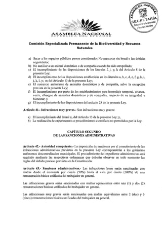 ASAMBLEA oNACIONALR.
                      i< JE r> O ii i -, i c: A. «I l E o u /v r> o
    Comisión Especializada Permanente de la Biodiversidad y Recursos
                               Naturales


   a) Sacar a los espacios públicos perros considerados No mascotas sin bozal o las debidas
       seguridades;
   b) No auxiliar a un animal doméstico o de compañía cuando ha sido atropellado;
   c) El incumplimiento de las disposiciones de los literales f, j, y; k del Artículo 8 de la
      presente Ley;
   d) El incumplimiento de las disposiciones establecidas en los literales a, b, c, d, e, f, g, h, i,
      j, k, 1, y; m del Artículo 13 de la presente Ley;
   e) El comercio ambulante de animales domésticos y de compañía, salvo la excepción
      prevista en la presente Ley;
   f) El incumplimiento por parte de los establecimientos para hospedaje temporal, crianza,
      venta, albergue de animales domésticos y de compañía, respecto de su integridad y
      bienestar; y,
   g) El incumplimiento de las disposiciones del artículo 28 de la presente Ley.
Artículo 41.- Infracciones muy graves.- Son infracciones muy graves:
   a) El incumplimiento del literal n, del Artículo 13 de la presente Ley; y,
   b) La realización de experimentos o procedimientos científicos no permitidos por la Ley.

                               CAPÍTULO SEGUNDO
                       DE LAS SANCIONES ADMINISTRATIVAS

Artículo 42.- Autoridad competente.- La imposición de sanciones por el cometimiento de las
infracciones administrativas previstas en la presente Ley corresponderán a los gobiernos
autónomos descentralizados municipales. El procedimiento del expediente administrativo será
regulado mediante las respectivas ordenanzas que deberán observar en todo momento las
reglas del debido proceso previstas en la Constitución.
Artículo 43.- Sanciones administrativas.- Las infracciones leves serán sancionadas con
multas desde el cincuenta por ciento (50%) hasta el cien por ciento (100%) de una
remuneración básica unificada del trabajador en general.
Las infracciones graves serán sancionadas con multas equivalentes entre una (1) y dos (2)
remuneraciones básicas unificadas del trabajador en general.
Las infracciones muy graves serán sancionadas con multas equivalentes entre 2 (dos) y 5
(cinco) remuneraciones básicas unificadas del trabajador en general.
 
