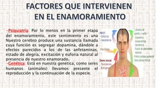 •Psiquiatría: Por lo menos en la primer etapa
del enamoramiento, este sentimiento es una
Nuestro cerebro produce una sustancia llamada
cuya función es segregar dopamina, dándole a
efectos parecidos a los de las anfetaminas,
estado de alegría, excitación y euforia natural al
presencia de nuestro enamorado.
•Genética: Está en nuestra genética, como seres
humanos (animales) llevamos presente el
reproducción y la continuación de la especie.
 