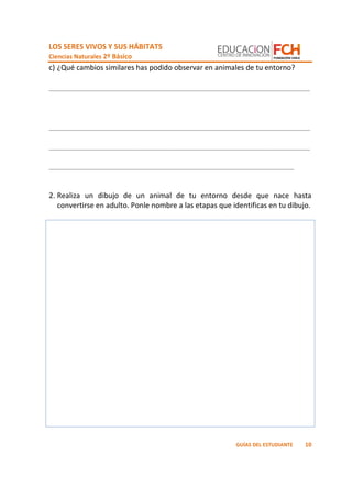 LOS SERES VIVOS Y SUS HÁBITATS
Ciencias Naturales 2º Básico
10GUÍAS DEL ESTUDIANTE
c) ¿Qué cambios similares has podido observar en animales de tu entorno?
_________________________________________________________________
_________________________________________________________________
_________________________________________________________________
_____________________________________________________________
2. Realiza un dibujo de un animal de tu entorno desde que nace hasta
convertirse en adulto. Ponle nombre a las etapas que identificas en tu dibujo.
 