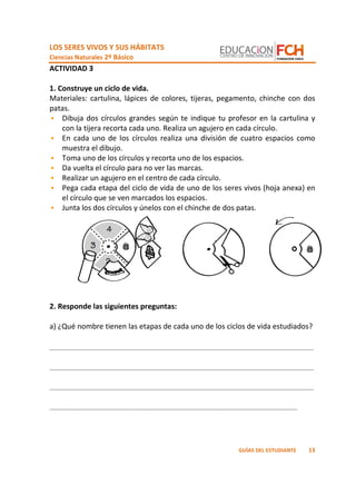 LOS SERES VIVOS Y SUS HÁBITATS
Ciencias Naturales 2º Básico
13GUÍAS DEL ESTUDIANTE
ACTIVIDAD 3
1. Construye un ciclo de vida.
Materiales: cartulina, lápices de colores, tijeras, pegamento, chinche con dos
patas.
Dibuja dos círculos grandes según te indique tu profesor en la cartulina y
con la tijera recorta cada uno. Realiza un agujero en cada círculo.
En cada uno de los círculos realiza una división de cuatro espacios como
muestra el dibujo.
Toma uno de los círculos y recorta uno de los espacios.
Da vuelta el círculo para no ver las marcas.
Realizar un agujero en el centro de cada círculo.
Pega cada etapa del ciclo de vida de uno de los seres vivos (hoja anexa) en
el círculo que se ven marcados los espacios.
Junta los dos círculos y únelos con el chinche de dos patas.
2. Responde las siguientes preguntas:
a) ¿Qué nombre tienen las etapas de cada uno de los ciclos de vida estudiados?
_________________________________________________________________
_________________________________________________________________
_________________________________________________________________
_____________________________________________________________
 